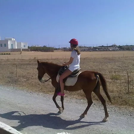 Fyrogenis Palace Appart hôtel 2*