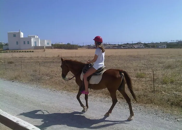 Fyrogenis Palace Aparthotel 2*